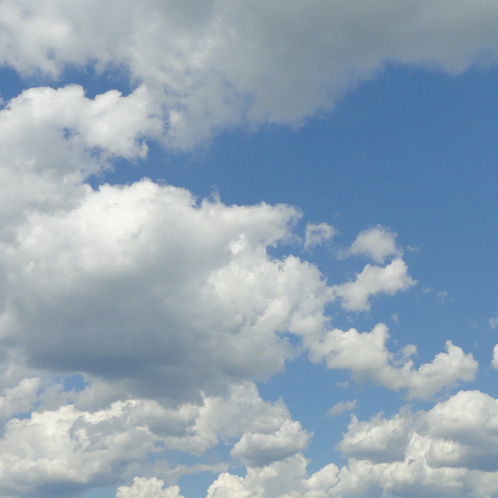 Purzelinchen1's profile picture. 