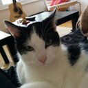 Victor Auger - @viketorog - Twitter