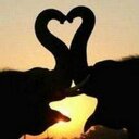 Linda Strode - @linda_strode - Twitter