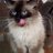 DeloenaLoekie's profile image
