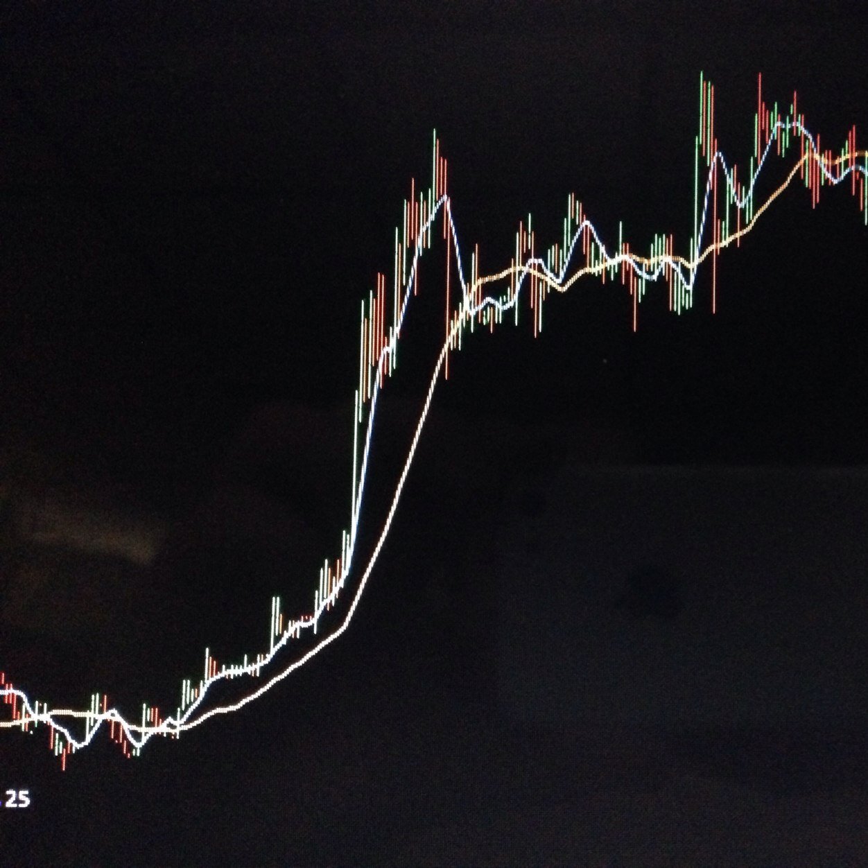 cryptocurrency trader, cartographer, and traveler.