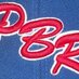 Dell Rapids PBR  (@dellrapidspbr) Twitter profile photo