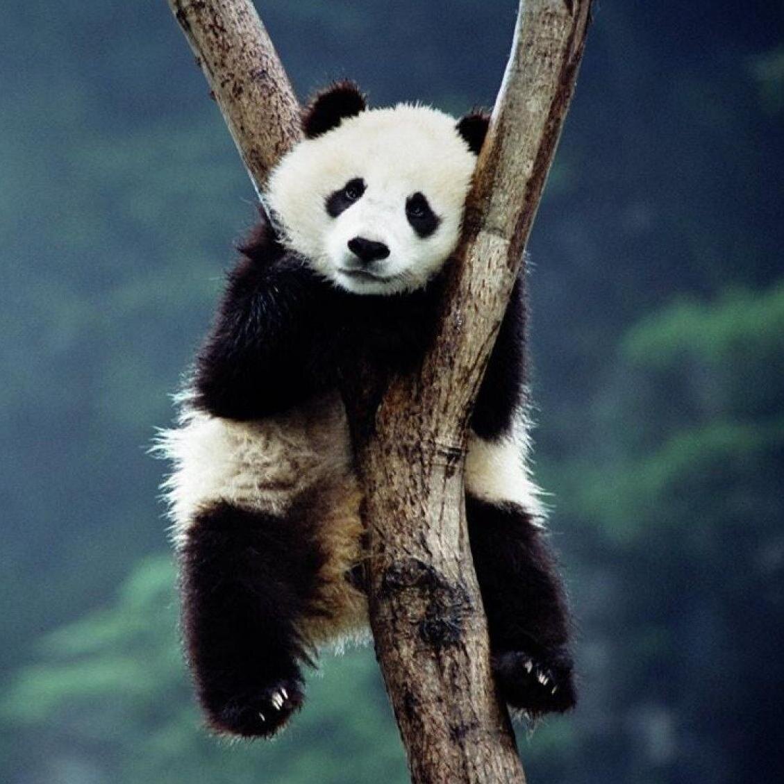 sweetdick17's profile picture. 