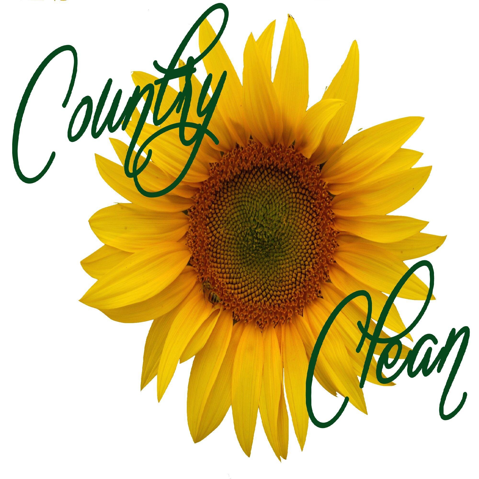 Country Clean is Residential and Commercial Cleaning Company that Creates a Customized Green Cleaning Plan for Your Home or Business