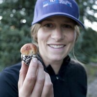 Katie Klingsporn (@klingspornkatie) 's Twitter Profile