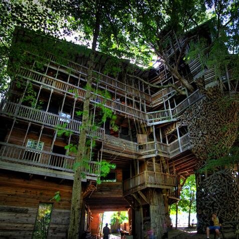 TR33H0USE's profile picture. Trees are tight, trees are tight.