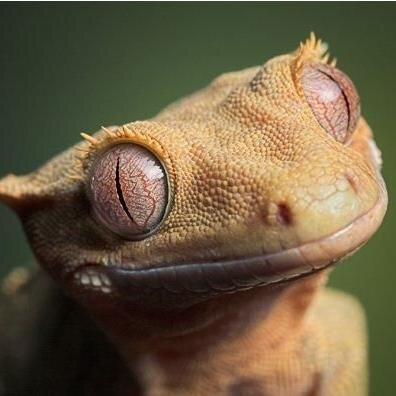 yaherka's profile picture. 