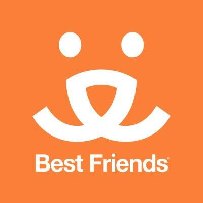 Best Friend Ally