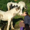 Ellie Shepherd - @EllieShepherd_x - Twitter