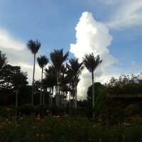 Luisz Olmedo Martinez Zamora (@luiszolmedo) 's Twitter Profile