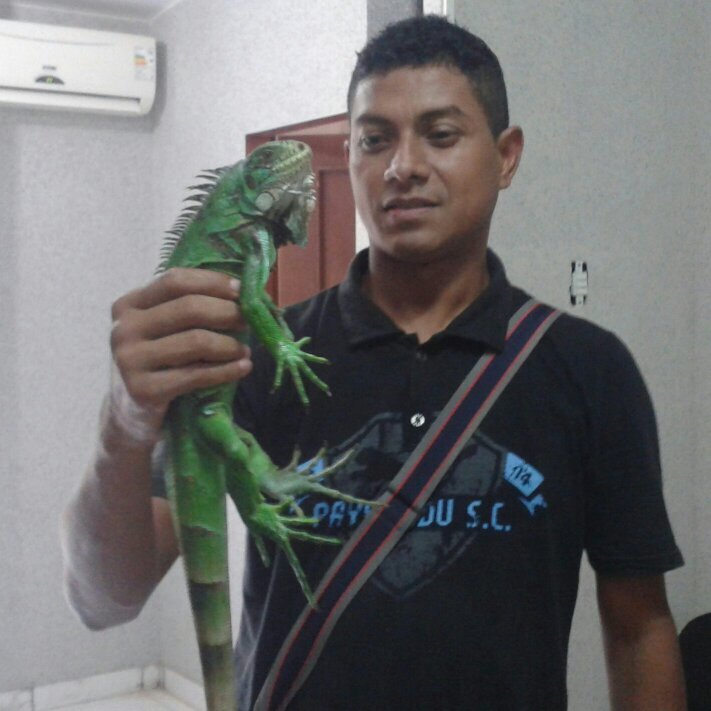 nivaldofla1's profile picture. 