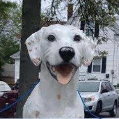 Dottie2_0's profile picture. Two full-time RE/MAX #RealEstate Agents with 15 years experience working with you to find your next home in the #CapeAnn Community. #GloucesterMA #RockportMA