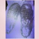 Kaci Cooper - @kacizopq1928 - Twitter