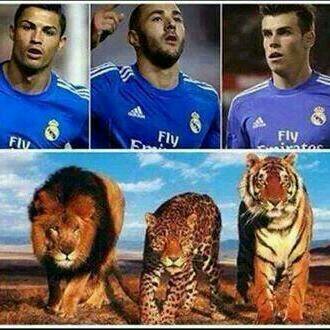 Equipo favorito,Real Madrid.dj favorito martin garrix.Escuela,María Inmaculada.