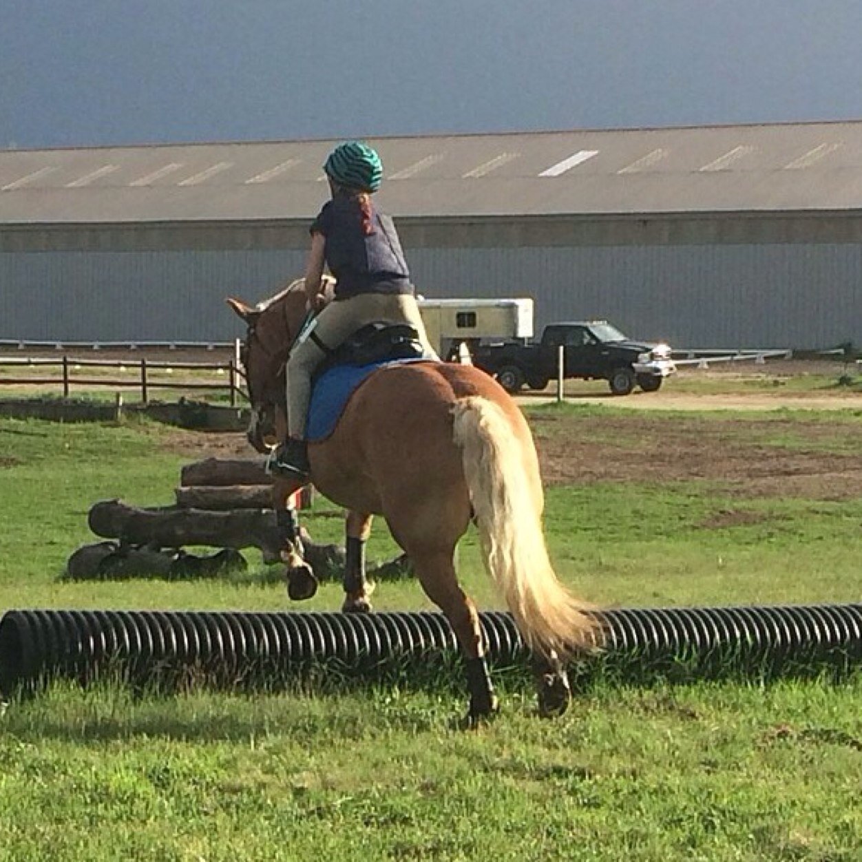 An eventer with a dream✨