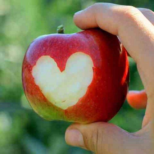 latinomen2010's profile picture. 