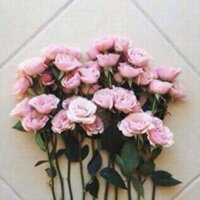 ميِم. (@iimeem89m) 's Twitter Profile
