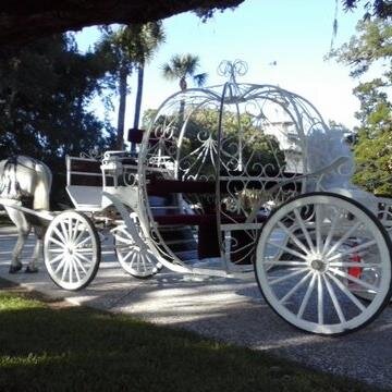 3OaksCarriageCo's profile picture. Three Oaks Carriage & Trail Company is located in the beautiful Golden Isles, on Jekyll Island, Georgia.
