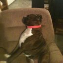 Jeff Jarrell  - @driver473 - Twitter