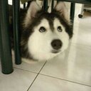 Karina Lim - @LinYinChien - Twitter