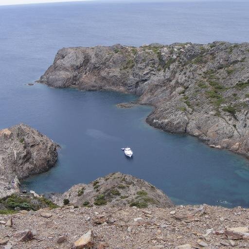 Chivachivita Profile Picture