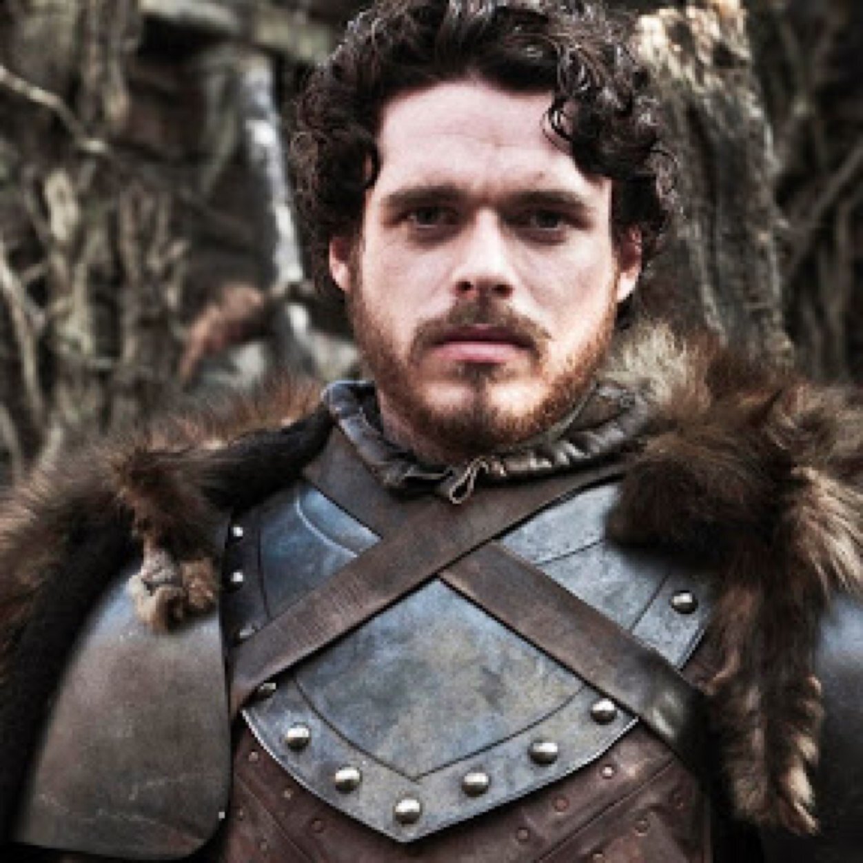 Lord Robb Stark of Winterfell. Married to @Robbs_Wife (Not Aff with Madden or GoT)