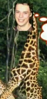 Lankyproblems12's profile picture. 