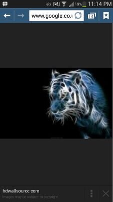 football|basketball|athletics|dancer|       #teamfollowback #teamlightskin single.   http://t.co/eRgoozZKvP