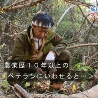 TOKIO 鉄腕ダッシュ！ (@tokio20) 's Twitter Profile