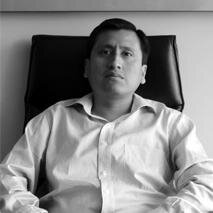 Ingeniero Electrónico, Consultor de Tecnologías de la Información.