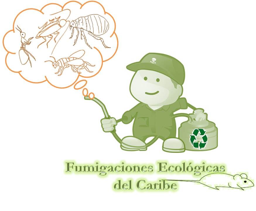 FUMIGACIONES ECOLÓGICAS DEL CARIBE, PRODUCTOS 100% BIODEGRADABLES Y COSTOS ACCESIBLES A TU PRESUPUESTO. DISPONIBILIDAD DE HORARIOS