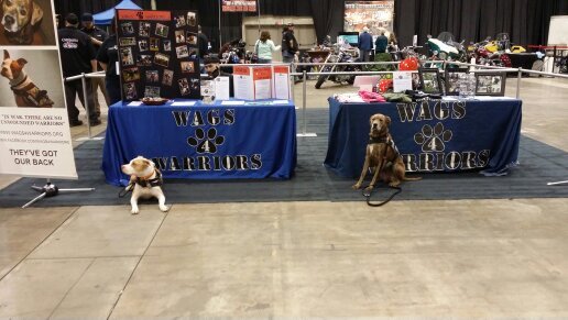 Wags 4 Warriors is a Non-Profit based in Northeast Ohio. W4W places rescued dogs with veterans and then we train them to be service dogs.