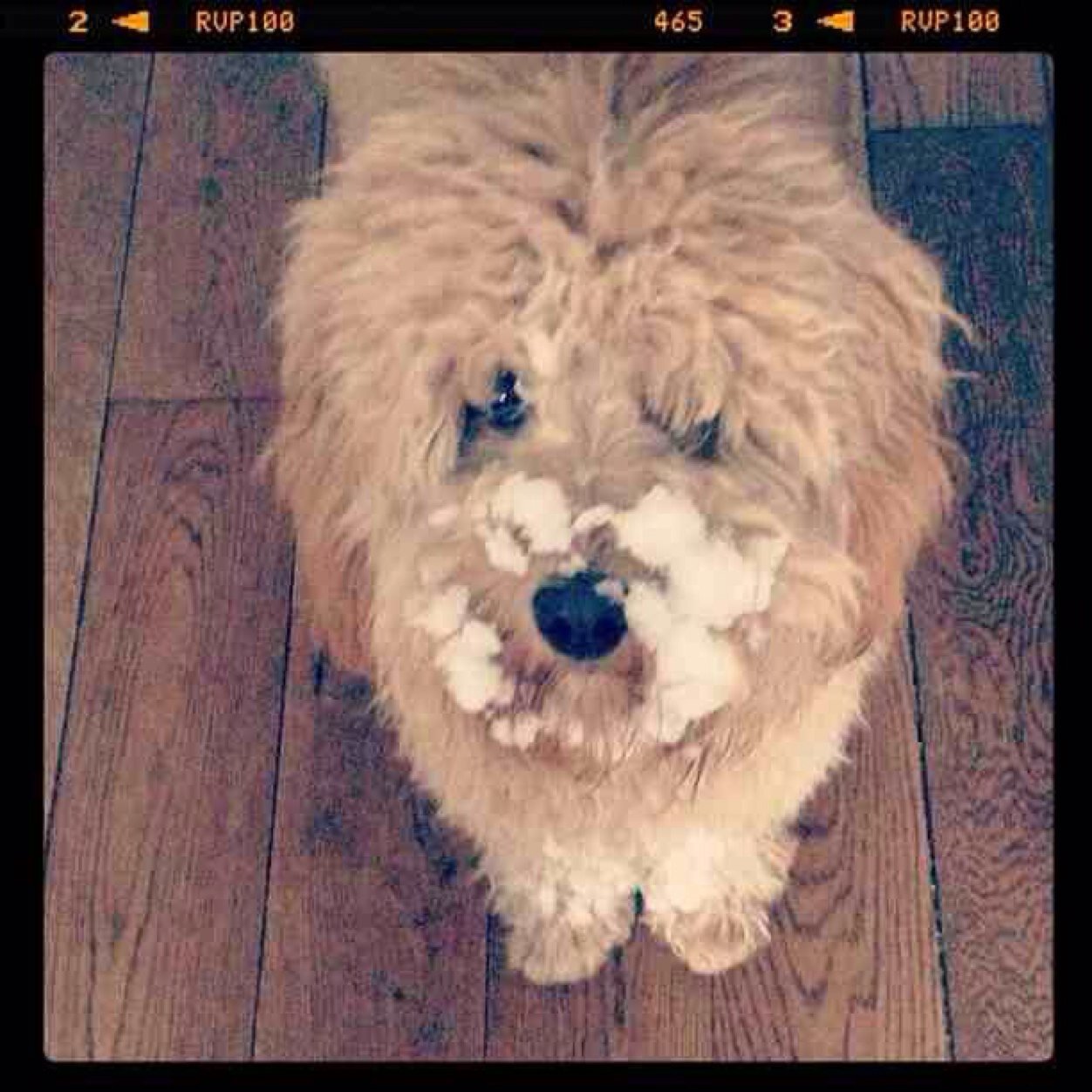 TheMillieBeast's profile picture. Love road trips, big beds and peanut butter