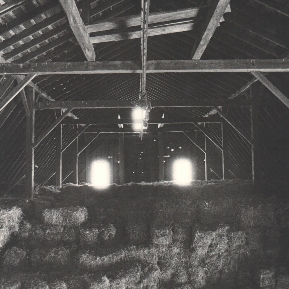 FarmingArtist7's profile picture. Agriculture Awearness