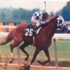 tbred295's profile picture. 