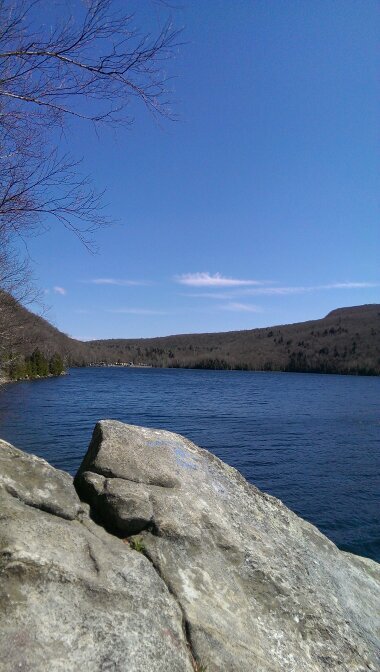 redriders71's profile picture. 