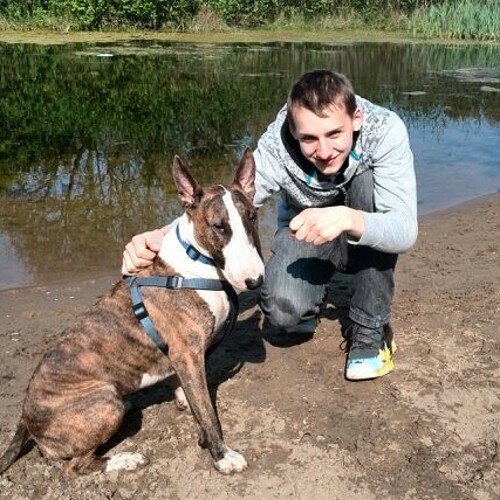 NL_ccvb's profile picture. 