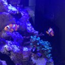 Daniel - @daniel_vivar - Twitter