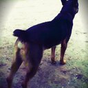 Brenda ceballos - @Brendac15768233 - Twitter
