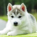 Leon Forrest - @ImmWoodyyy - Twitter