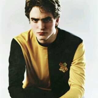17.Cedric Diggory soy Hufflepuff capitan y buscador del equipo Hufflepuff de Quidditch, participo en el torneo de los tres magos #PotterRunes.