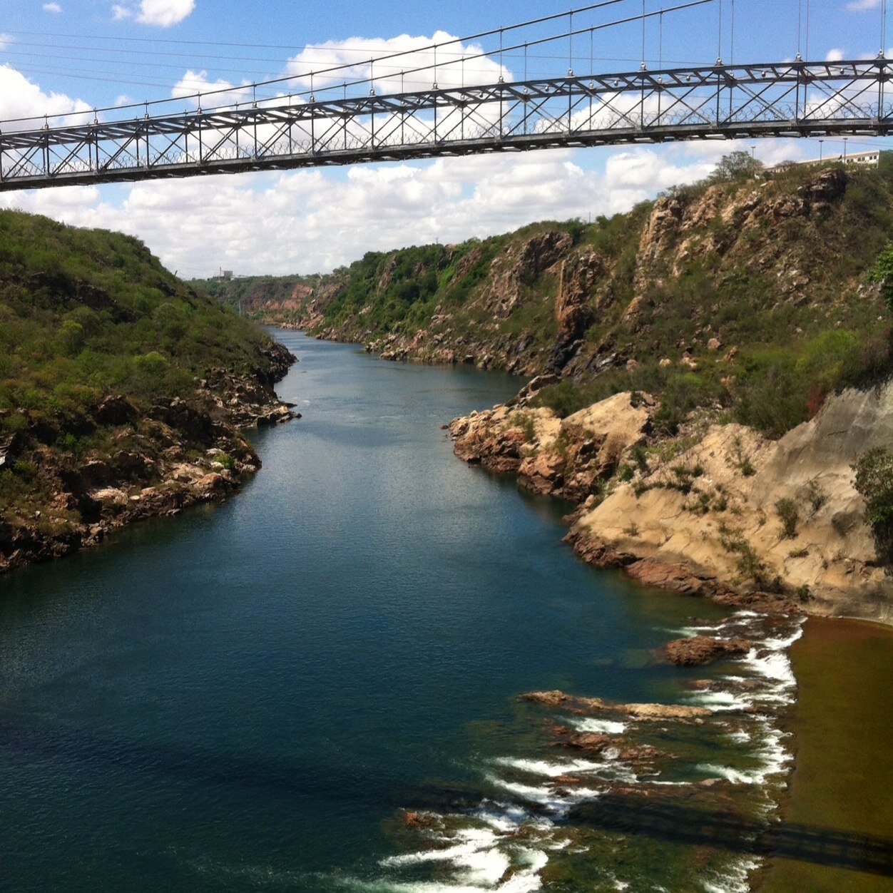 BroadBean4's profile picture. intelligence and dynamism