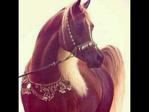 ‏‏‏‏‏‏‏‏‏‏‏‏‏سوو فولو ماحتندم ابد                                                           http://t.co/T3X2nrPjpj‎‎‎‎