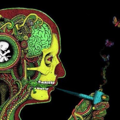 NiikyOtt's profile picture. Experimentando un camino.  Cada persona vive la vida a su parecer nadie dice que esta bien o que esta mal. SeAn FeLiCeS ☮