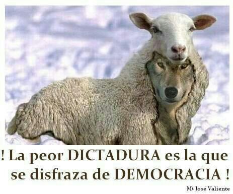 amo a toda persona avierta de mentalidad con cabeza y su propia forma de pensar