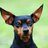 ivy_1008's profile image