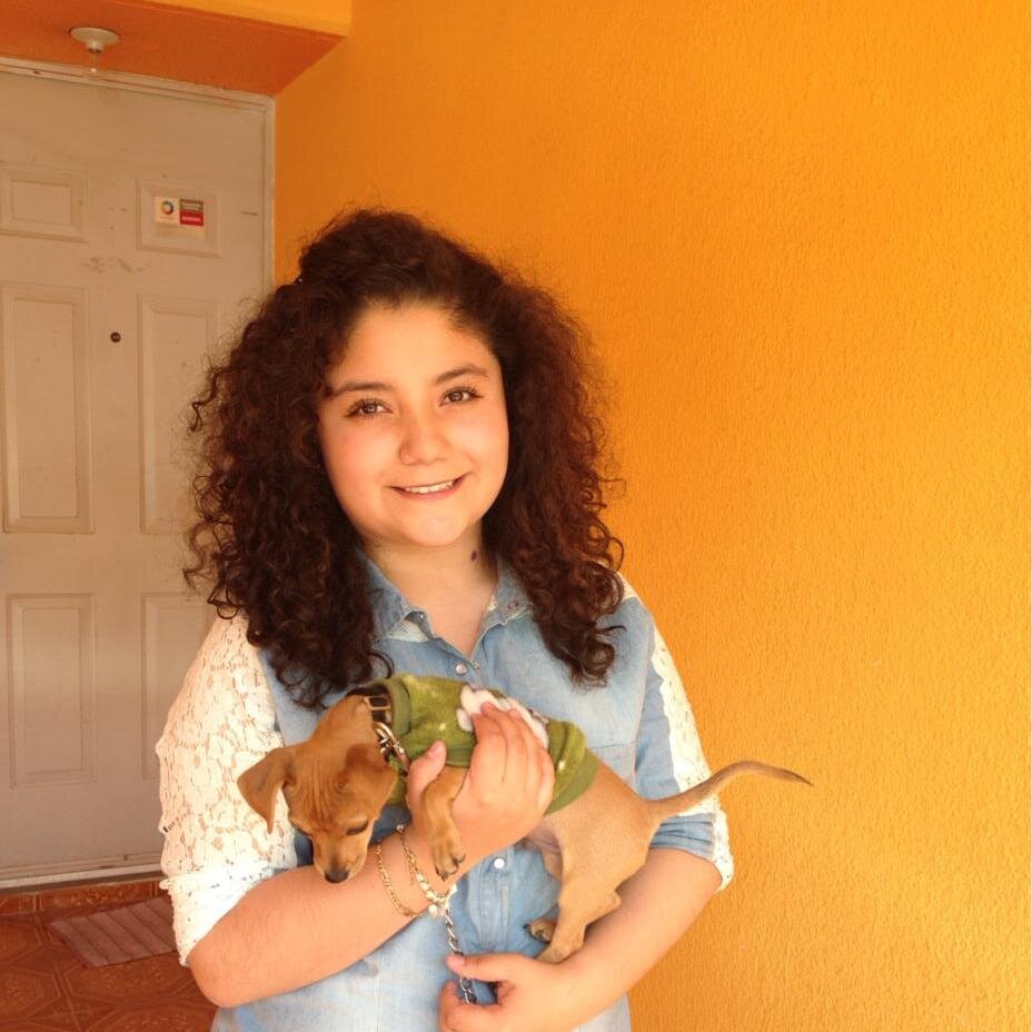 no compres ,mejor adopta ,para que eso perrito tengan un hogar
