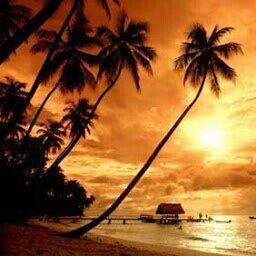 rebeccasilver31's profile picture. 