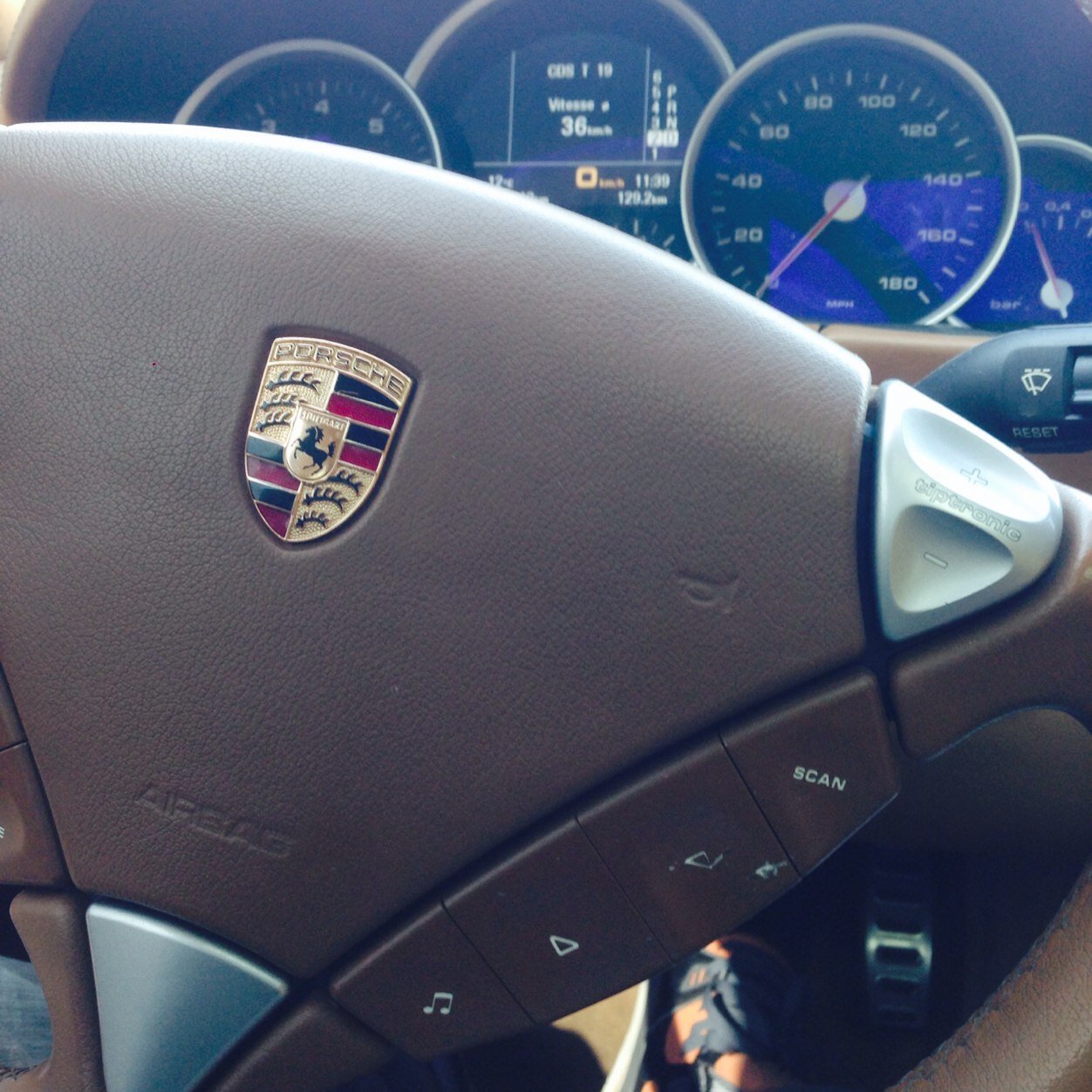 dized3000's profile picture. 