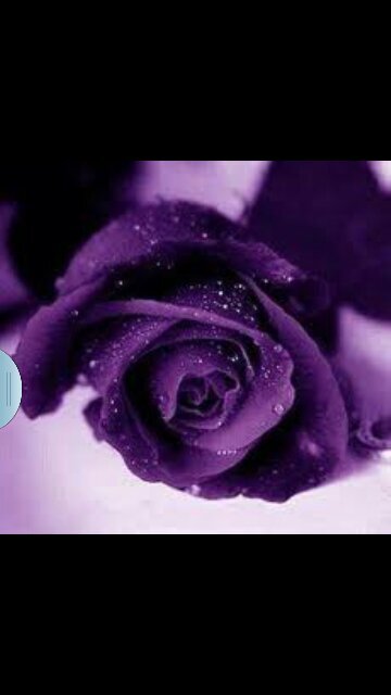 pagarali55's profile picture. 